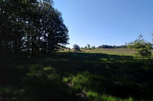 Hiking in the netherlands