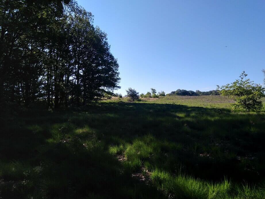 Hiking in the netherlands