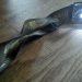 Petzl tikka headlamp