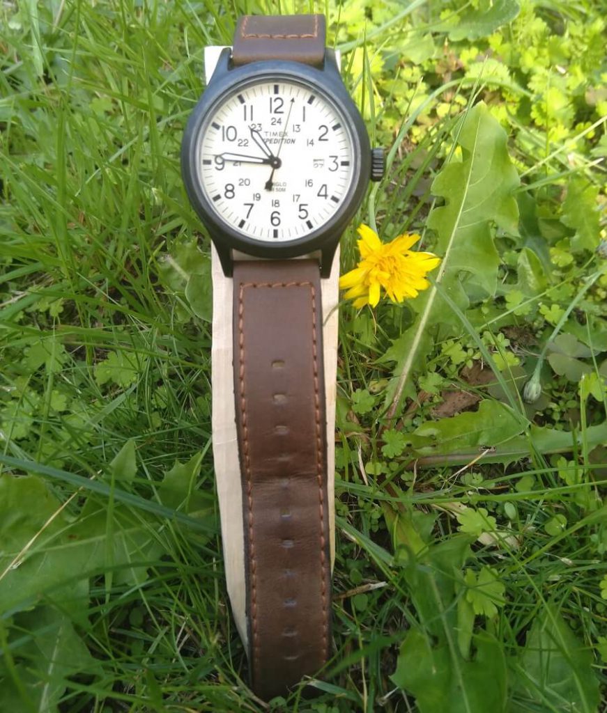 timex expedition in grass