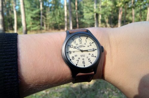 Timex expedition on the wrist