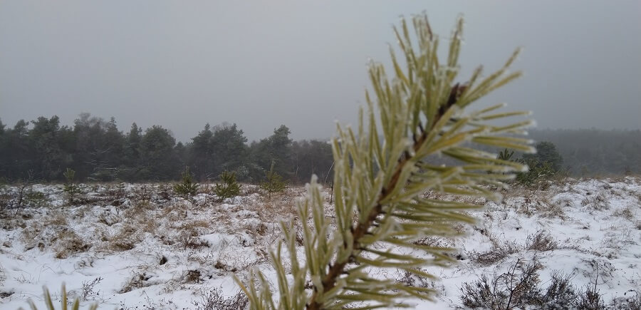 Winter hiking netherlands 2