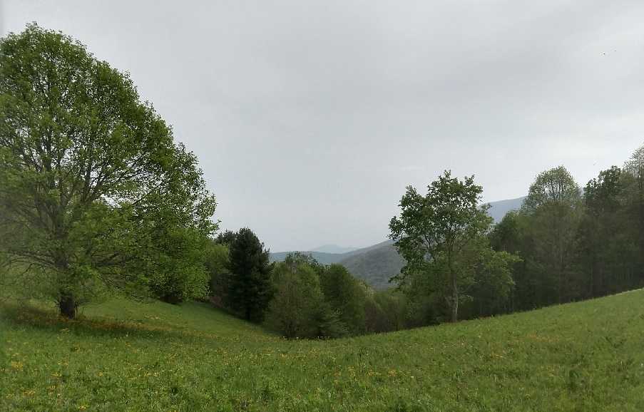 appalachian-trail-big-bald