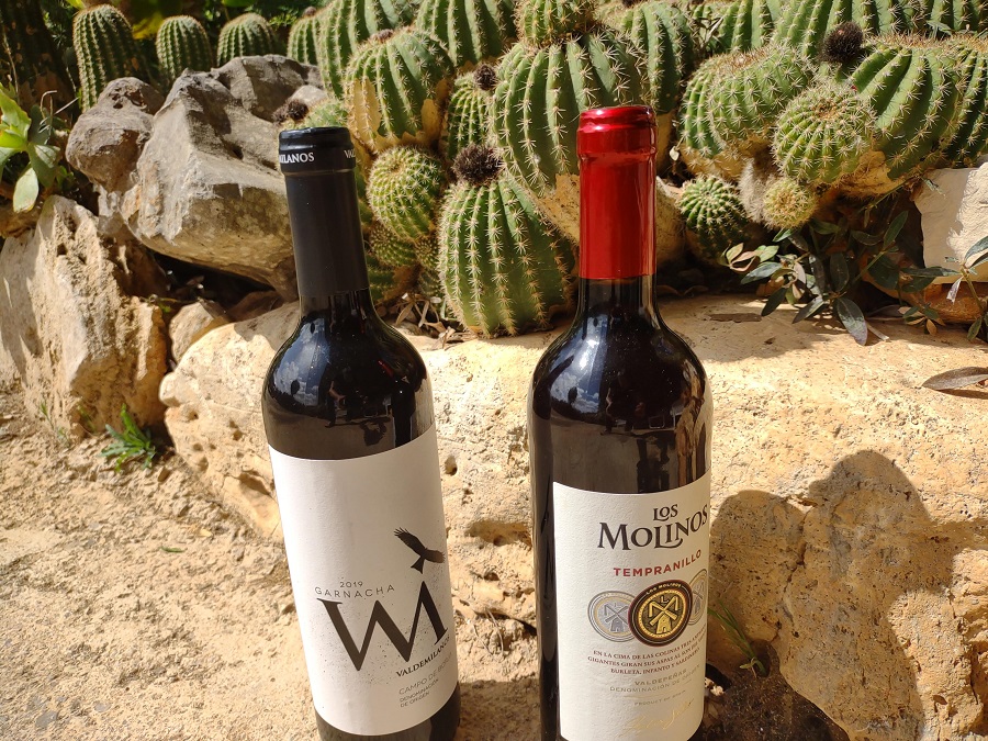 vinos and wine along the camino de santiago