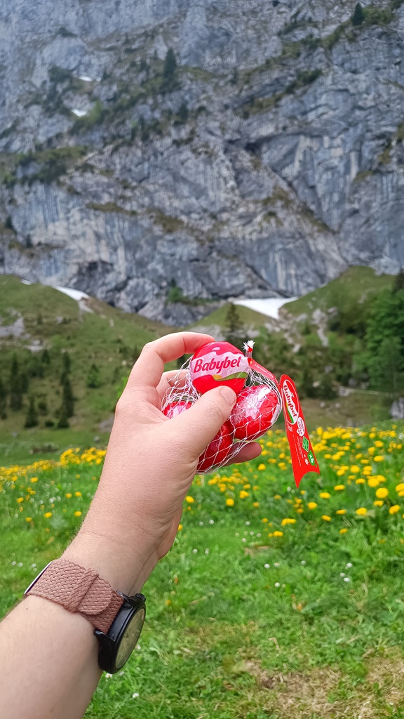 babybel-cheese-Benediktenwand